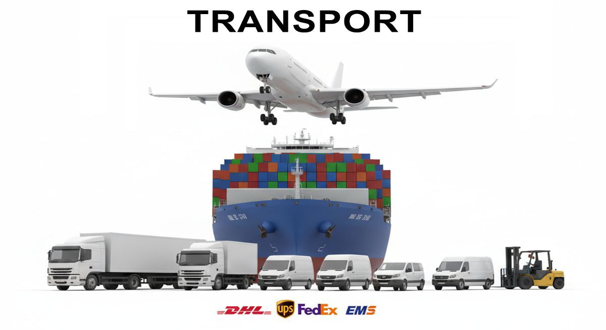 button down tee shirt TRANSPORT